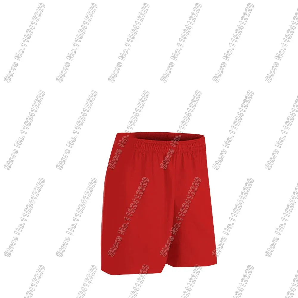 Maillot Bulgaria National Jersey team Fans 2025 T Shirts 3D Print Mens Shorts Running Streetwear Casual Training Suit Clothe