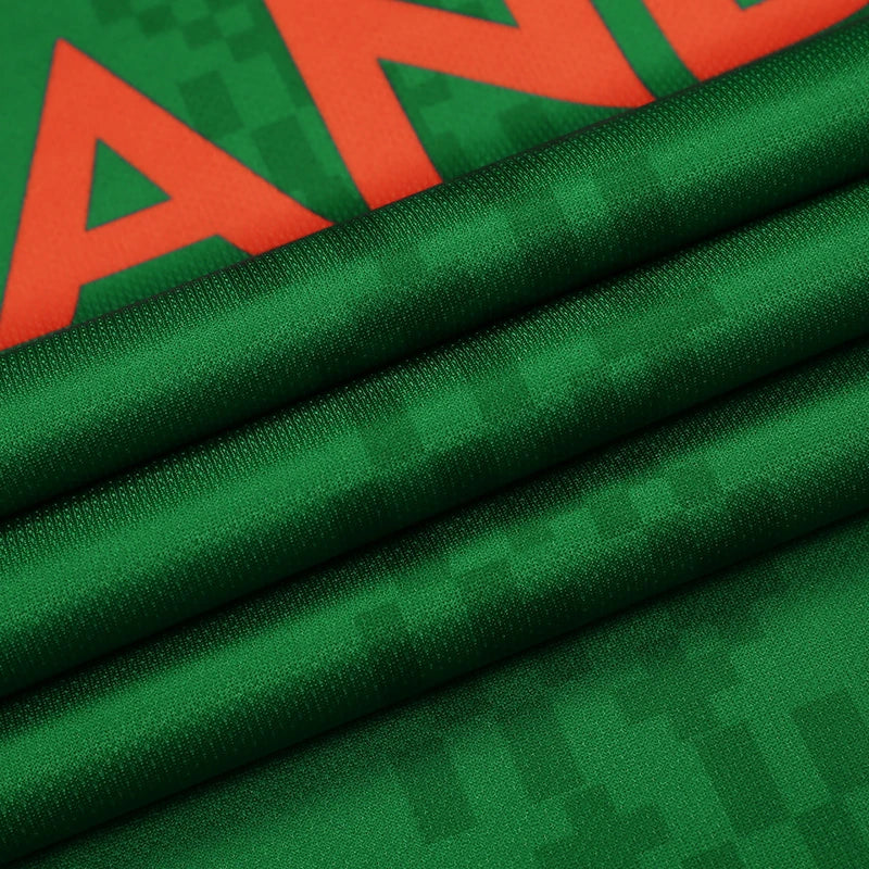 2024 Ireland football jersey, training day shirt, high quality breathable fabric Irish soccer uniform